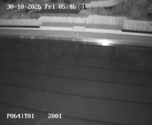 Petynka Swimming Pool - Main pool - 30.10.2026 v 04:45