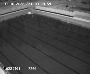 Petynka Swimming Pool
