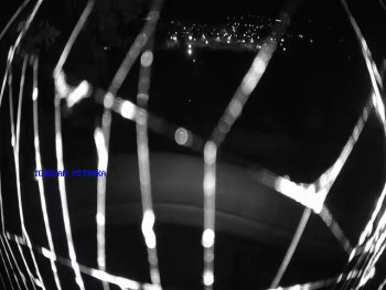 Snímek    16.9.2025 v 20:30