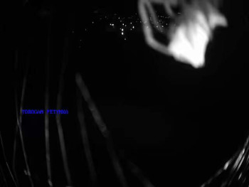 Snímek    18.9.2025 v 21:15