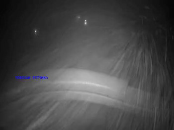 Koupaliště Petynka