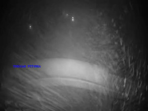 Koupaliště Petynka - Tobogán - 2.3.2026 v 04:45 Koupaliště Petynka - Tobogán - 2.3.2026 v 04:45