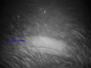 Koupaliště Petynka - Tobogán - 2.3.2026 v 05:45 Koupaliště Petynka - Tobogán - 2.3.2026 v 05:45