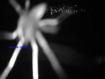 Koupaliště Petynka