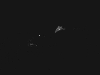 Snímek    18.10.2025 v 04:15