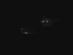 Modrava