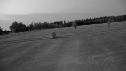 Golfové hřiště