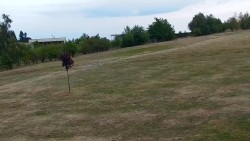Golfové hřiště