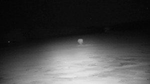Kořenec Golf & Ski Resort - Golfové hřiště - 16.9.2026 v 00:45 Kořenec Golf & Ski Resort - Golfové hřiště - 16.9.2026 v 00:45