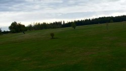Pole golfowe