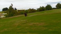 Pole golfowe