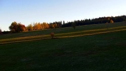 Golfové hřiště