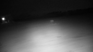 Kořenec Golf & Ski Resort - Golfové hřiště - 31.10.2026 v 01:45