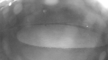 Snímek    12.5.2025 v 21:45