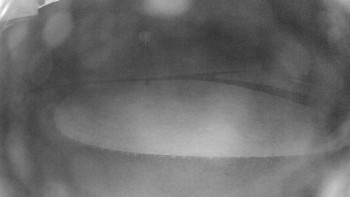 Snímek    14.7.2025 v 02:45