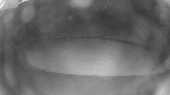 Snímek    14.7.2025 v 03:15