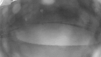 Snímek    14.7.2025 v 22:30
