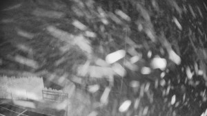 Pension Schaumannův Dvůr - Amfiteátr - Hřiště - 15.12.2025 v 00:50 Pension Schaumannův Dvůr - Amfiteátr - Hřiště - 15.12.2025 v 00:50