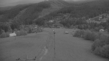 Snímek    4.7.2025 v 04:15