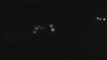 Snímek    2.8.2025 v 03:45