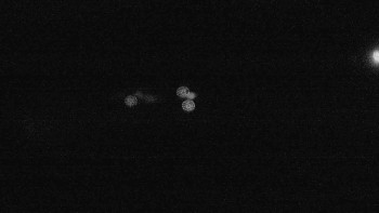 Snímek    13.9.2025 v 20:01