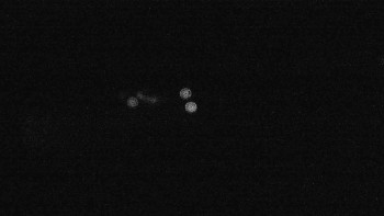 Snímek    15.9.2025 v 05:15