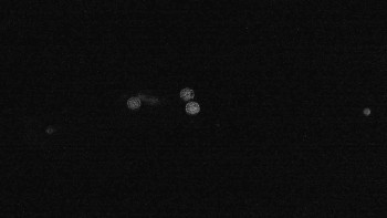 Snímek    15.9.2025 v 21:45
