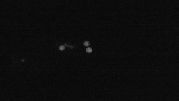 Snímek    15.9.2025 v 22:01