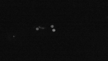 Snímek    15.9.2025 v 22:15