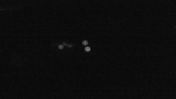 Snímek    16.9.2025 v 20:15