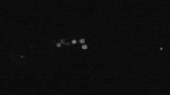 Snímek    16.9.2025 v 21:15
