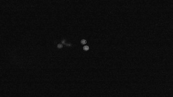 Snímek    16.9.2025 v 21:45