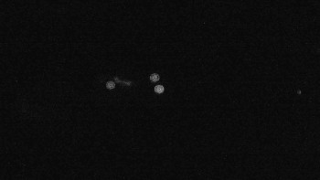 Snímek    16.9.2025 v 22:01