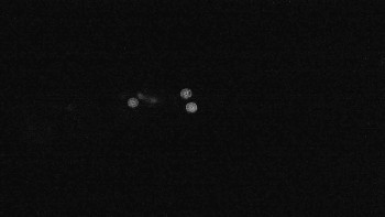 Snímek    16.9.2025 v 23:01