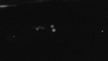 Snímek    17.9.2025 v 20:01