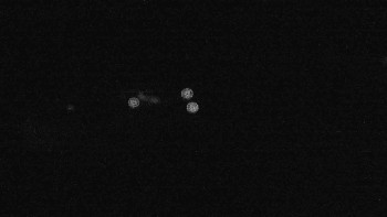 Snímek    17.9.2025 v 22:01