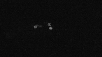 Snímek    17.9.2025 v 23:45