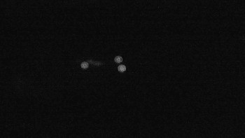 Snímek    18.9.2025 v 03:00