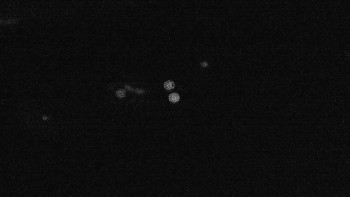 Snímek    18.9.2025 v 20:01