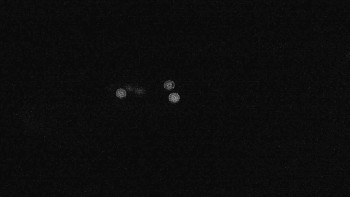 Snímek    19.9.2025 v 04:15
