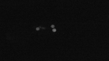 Snímek    19.9.2025 v 05:15