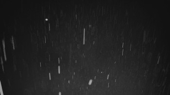 Snímek    14.10.2025 v 21:01