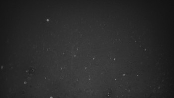 Snímek    15.10.2025 v 06:00