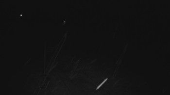 Snímek    3.11.2025 v 19:01