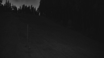 Snímek 7.11.2025 v 06:01