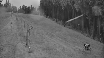 Snímek 17.11.2025 v 16:01