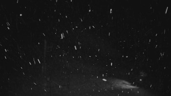 Snímek    22.11.2025 v 23:01