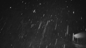 Snímek    23.11.2025 v 18:01