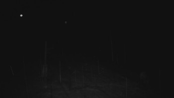 Ski areál U Sachovy studánky