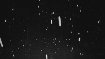 Ski areál U Sachovy studánky